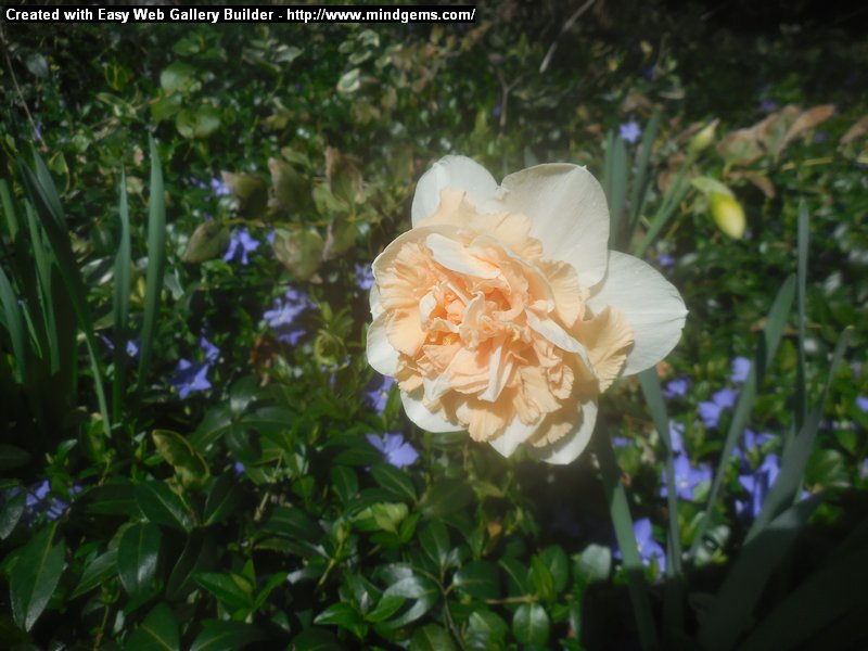 Photo Gallery